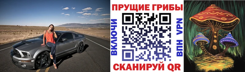гидра   Старая Купавна  Псилоцибиновые грибы Cubensis 