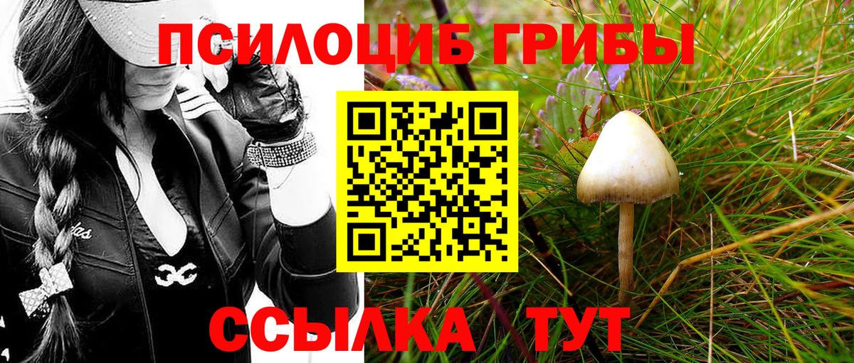 Галлюциногенные грибы Psilocybe Старая Купавна