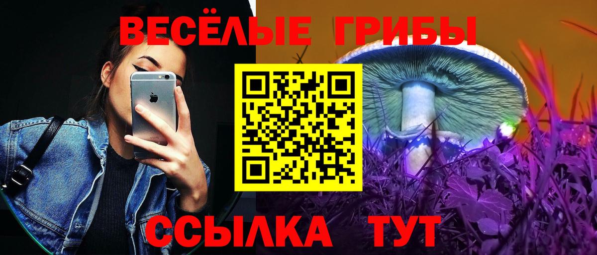 Псилоцибиновые грибы ЛСД  Вход с VPN  Галлюциногенные грибы GOLDEN TEACHER  Старая Купавна 